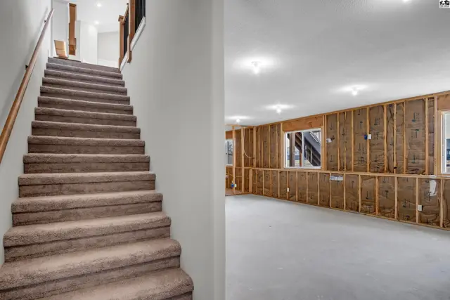 Carpeted stairs lead to an unfinished basement with exposed studs and concrete floors.