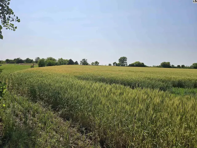 Photo of 0 N Hwy 81 Bypass, McPherson, KS