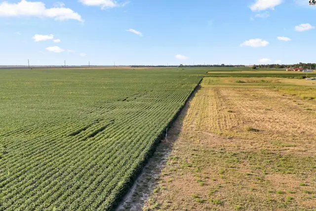 Expansive agricultural land with rows of green crops bordering harvested fields under a blue sky.