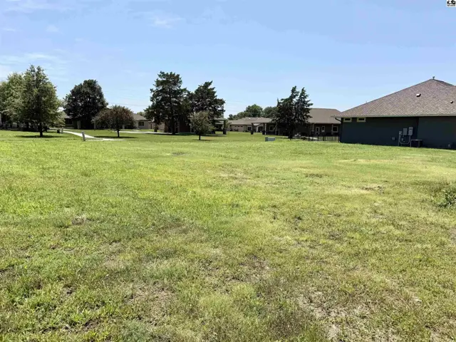 Spacious, level lot with mature trees and neighboring homes under a clear blue sky.