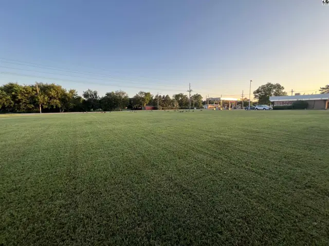 Expansive, level green lawn stretches toward a clear blue sky with distant buildings.