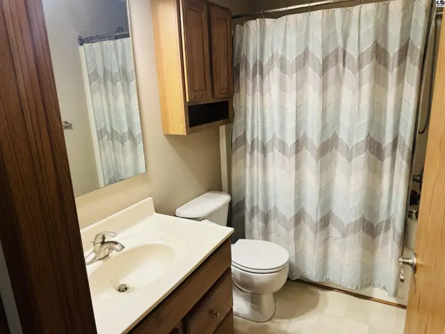 This bathroom features a vanity with a sink, toilet, and a bathtub with a shower curtain.