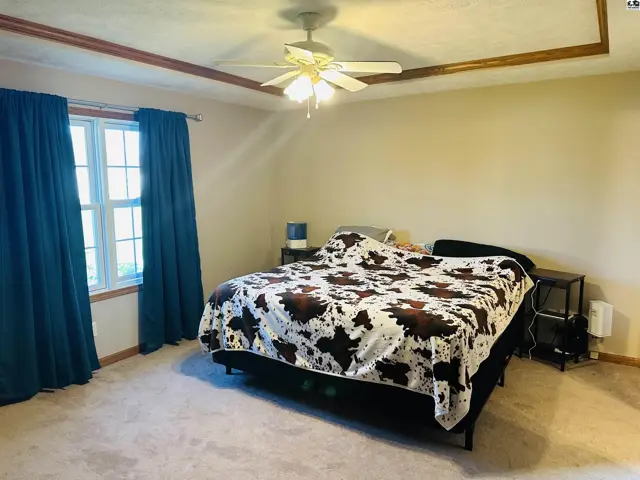 Spacious bedroom with a tray ceiling, ceiling fan, and large window.