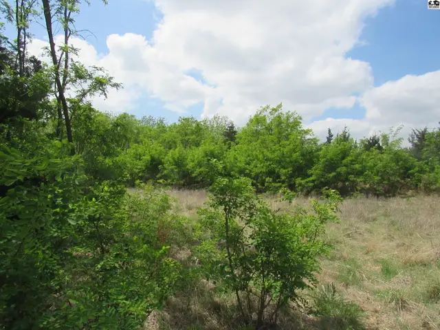 Photo of 00000 East Red Tail Rd, Hutchinson, KS