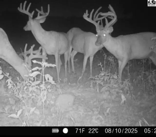 Photo of 5020 N Table Mound Rd, Independence, KS