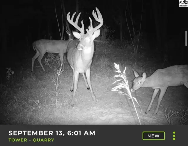 Photo of 5020 N Table Mound Rd, Independence, KS