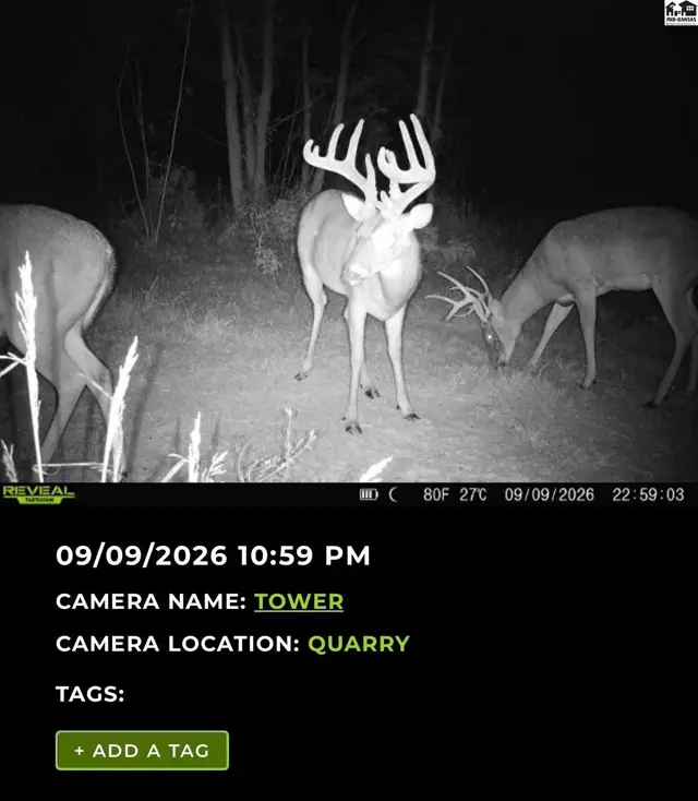 Photo of 5020 N Table Mound Rd, Independence, KS
