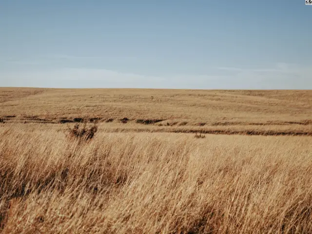 Photo of 00000 S 4th, Windom, KS