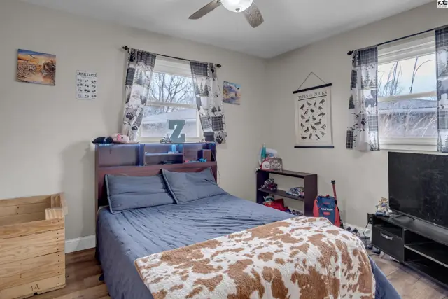 Cozy bedroom with a queen bed, wood-look flooring, and patterned curtains.