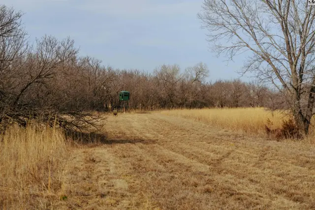 Photo of 0000 SE 110th St, Kingman, KS
