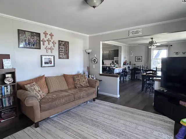 Living room with a brown sofa, striped rug, and open view to a dining area and kitchen.