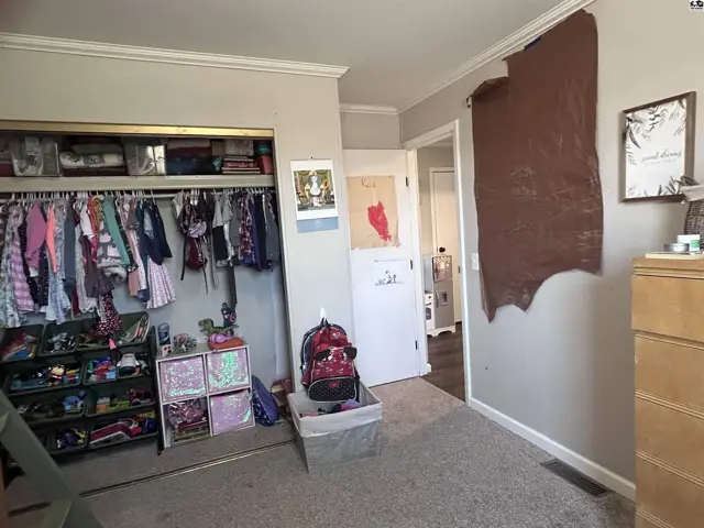 Bedroom with a large closet filled with clothes, a dresser, and a brown accent wall.