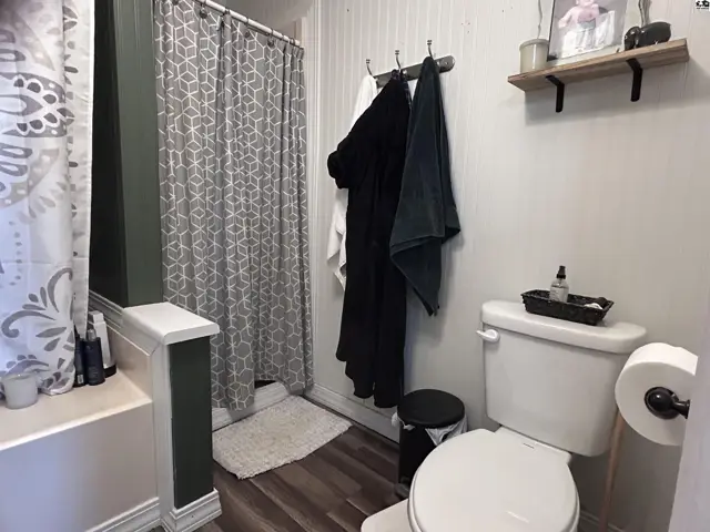 Bright bathroom with beadboard walls, wood-look flooring, and a patterned shower curtain.