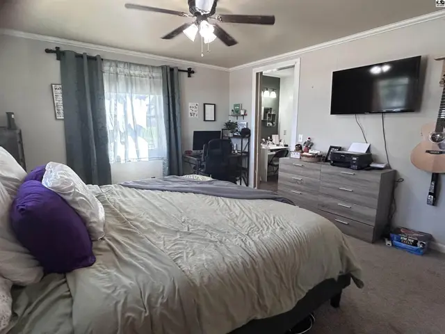 Spacious bedroom with a king-size bed, gray dresser, mounted TV, and a ceiling fan.