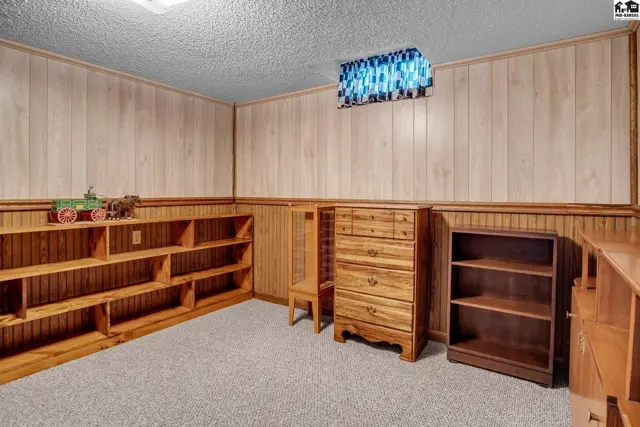 Wood-paneled basement room with built-in shelving, a dresser, and carpeted floor.