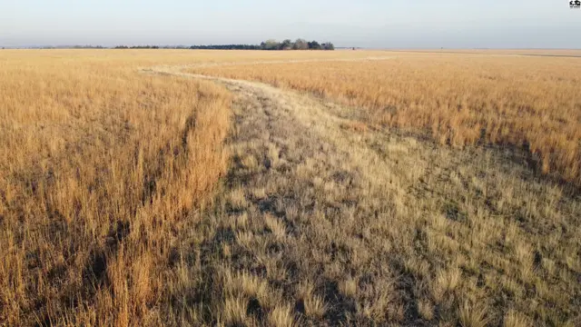 Photo of 00000 K 156 Hwy, Larned, KS