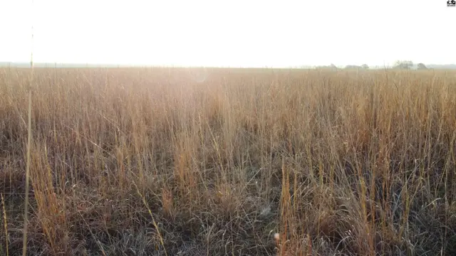 Photo of 00000 K 156 Hwy, Larned, KS