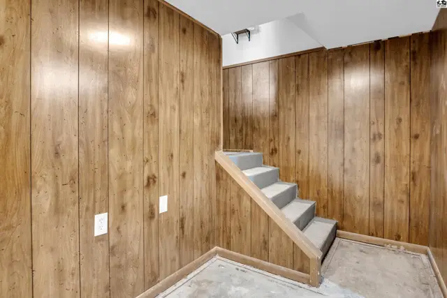 Wood-paneled walls surround a carpeted staircase leading to a finished basement area.
