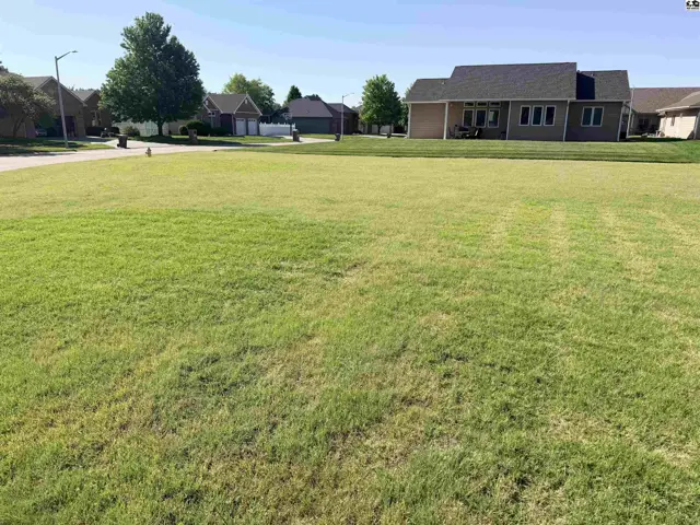 Expansive green lawn with mature trees and a paved street in front.