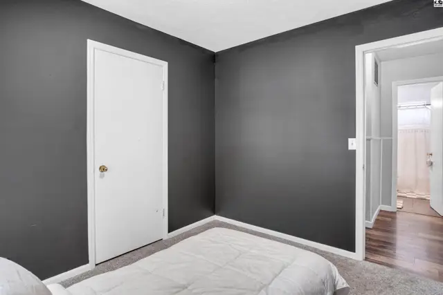 Dark gray walls and white door in a carpeted room with a glimpse of a hallway and bathroom.