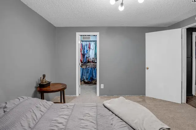 Spacious bedroom with gray walls, plush carpet, and a walk-in closet filled with clothes.