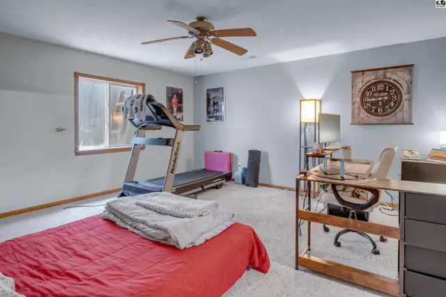 Spacious room with treadmill, bed, and desk, featuring carpeted floors and light blue walls.