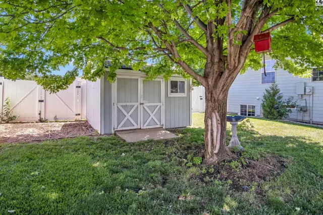 A light blue shed with white trim and double doors sits in a grassy backyard under a large tree.