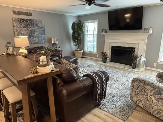 Spacious living room with leather sofa, fireplace, large rug, and modern decor.