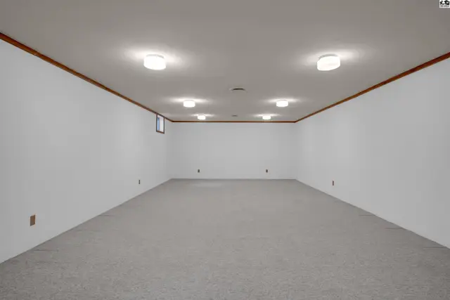 Spacious, unfinished basement with neutral carpet, white walls, and wood trim.