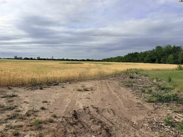 Expansive golden field with a dirt track leading towards a treeline under a cloudy sky.
