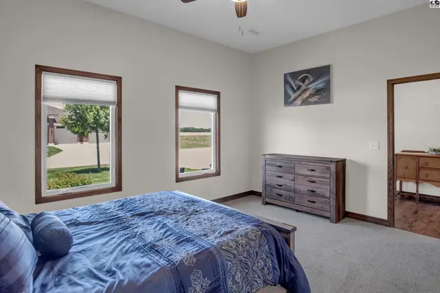Spacious bedroom with a dresser, ceiling fan, and two windows overlooking the exterior.