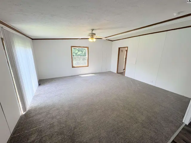 Spacious living room with plush gray carpet, white walls, and wood trim.