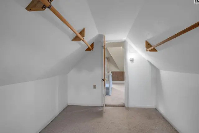 Attic storage space with sloped ceilings, carpet, and wooden hanging rods.