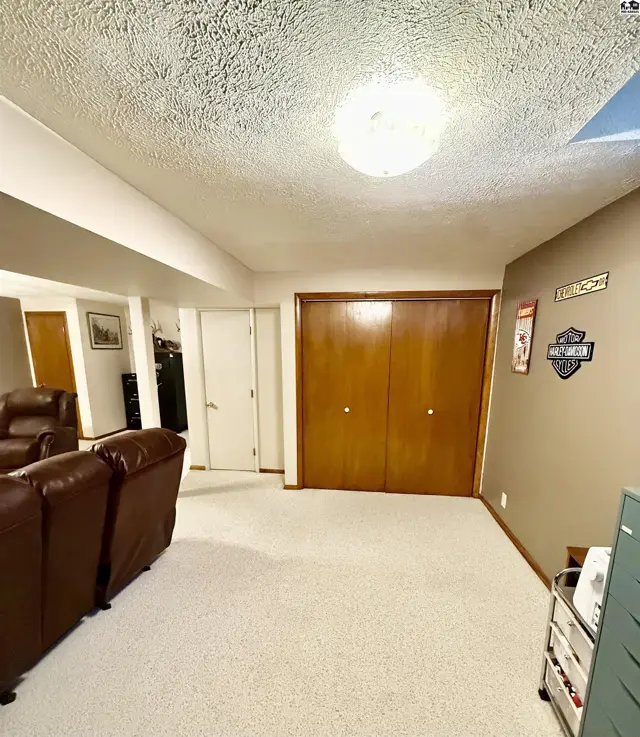 Finished basement with plush carpet, wood-paneled closet doors, and comfortable leather recliners.