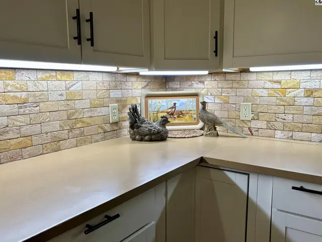 Corner countertop with stone tile backsplash, under-cabinet lighting, and decorative pheasant figures.