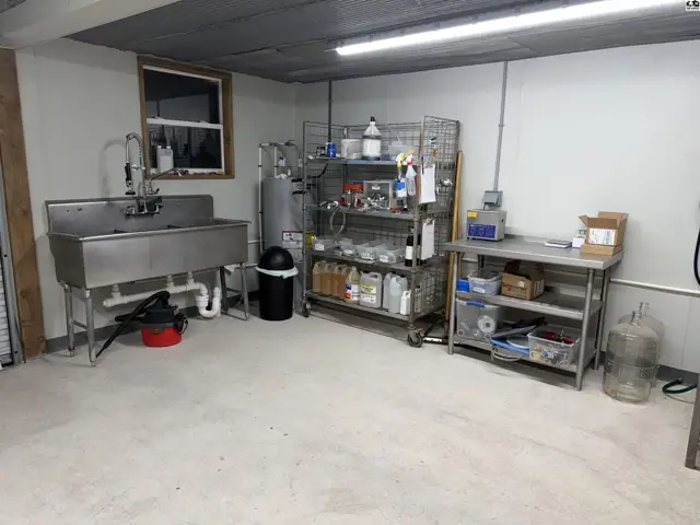 brew