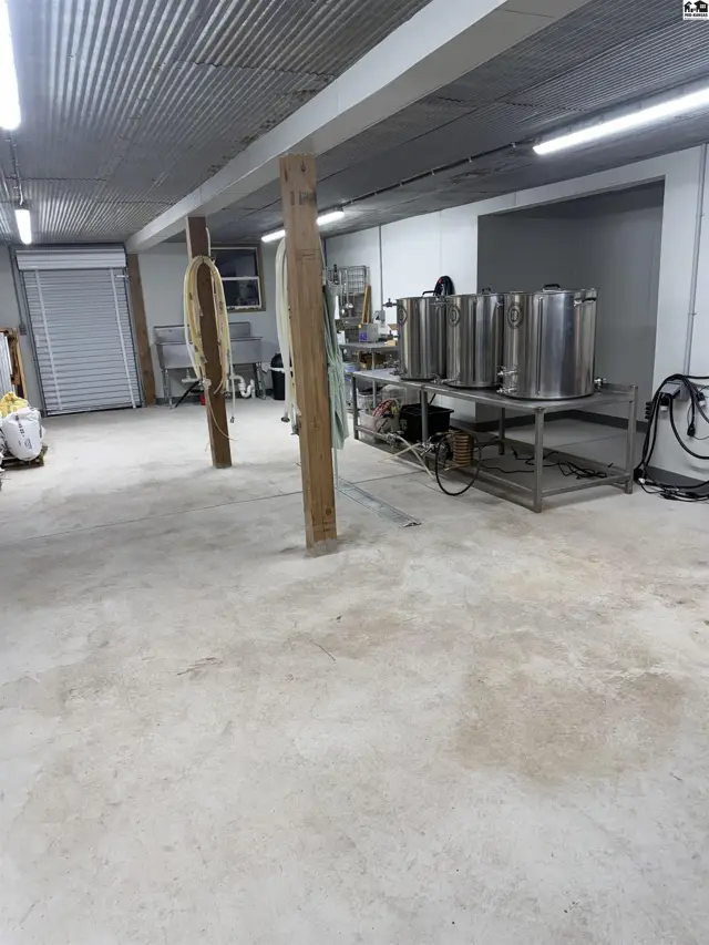 brew