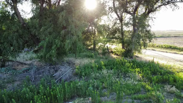 Photo of 00000 W Boundary Rd, Pretty Prairie, KS