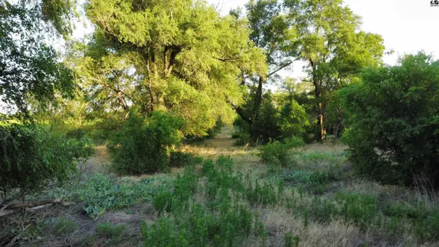 Photo of 00000 W Boundary Rd, Pretty Prairie, KS