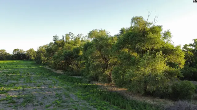 Photo of 00000 W Boundary Rd, Pretty Prairie, KS