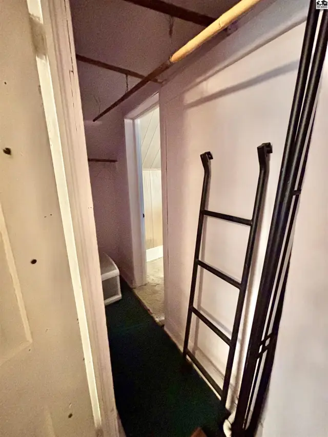Narrow hallway with green carpet, white walls, and a black ladder leaning against the wall.