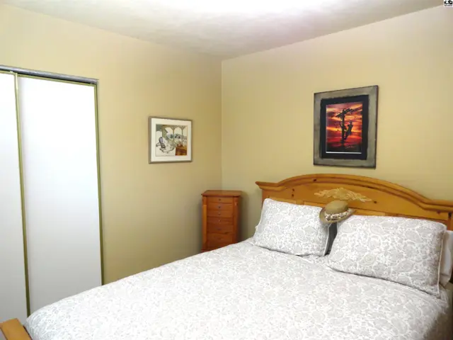 Bedroom with a wooden bed frame, patterned bedding, and a closet with white sliding doors.