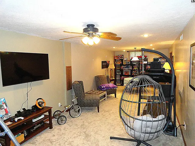 Cozy rec room with plush carpet, a hanging egg chair, and entertainment setup.