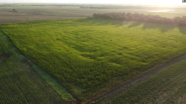 Photo of 0 W Boundary Rd, Pretty Prairie, KS