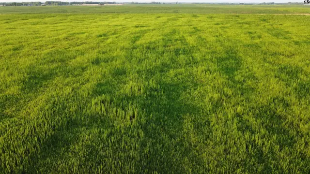 Photo of 0 W Boundary Rd, Pretty Prairie, KS
