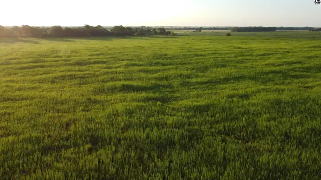 Photo of 0 W Boundary Rd, Pretty Prairie, KS