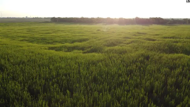 Photo of 0 W Boundary Rd, Pretty Prairie, KS