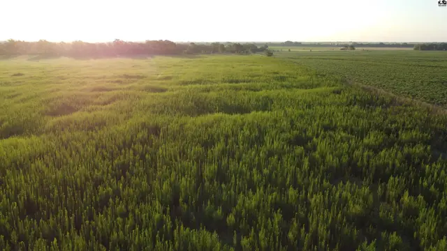 Photo of 0 W Boundary Rd, Pretty Prairie, KS