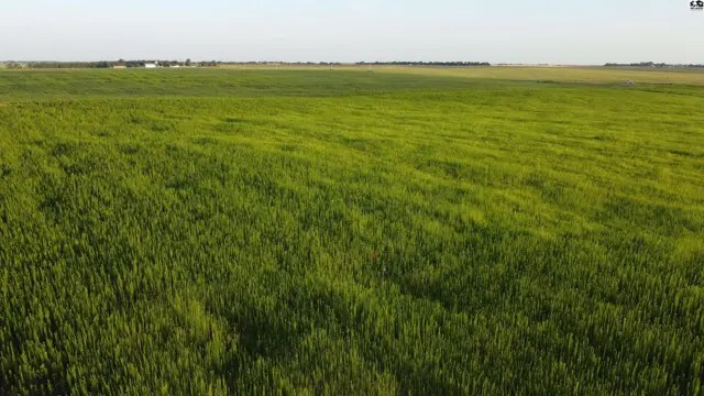 Photo of 0 W Boundary Rd, Pretty Prairie, KS