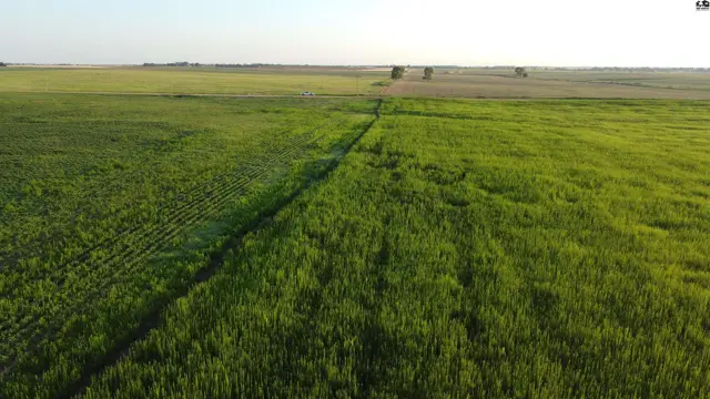 Photo of 0 W Boundary Rd, Pretty Prairie, KS